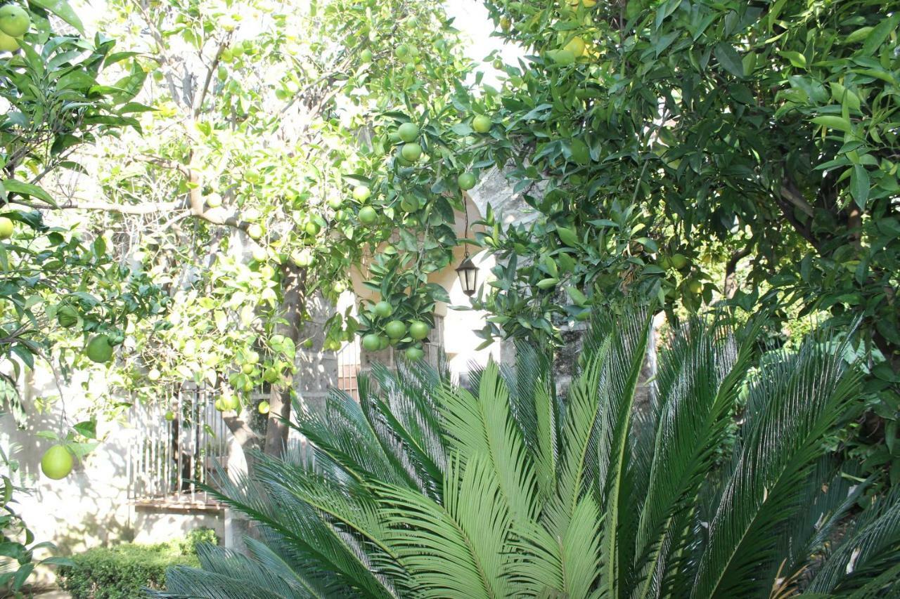 La Lanciolla Apartamento Maddaloni Exterior foto